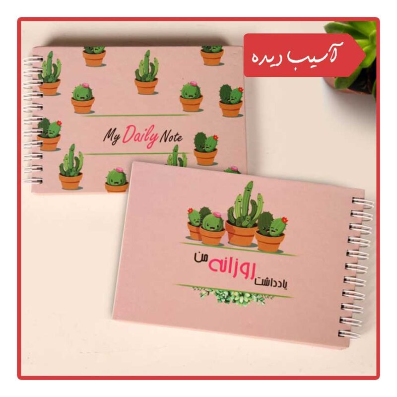 یادداشت روزانه من (طرح کاکتوس)